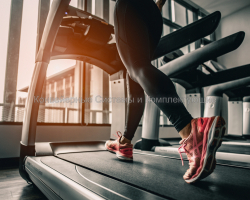 Беговые дорожки - Конвейерные системы и комплектующие